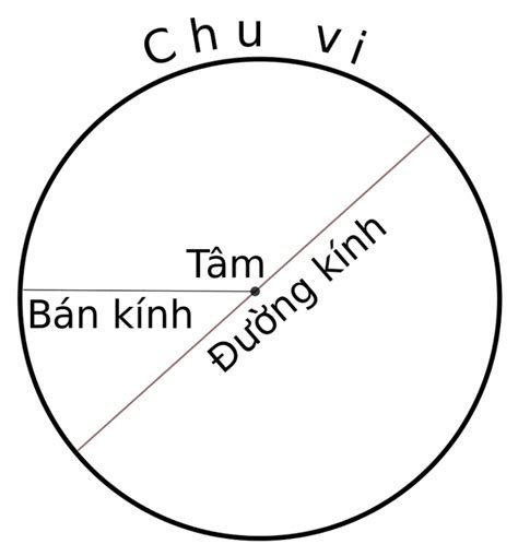 Bật mí cách tính diện tích hình tròn và công thức tính chu vi chính xác