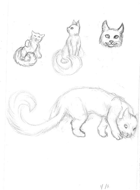 Cat Tail Drawing at PaintingValley.com | Explore collection of Cat Tail Drawing