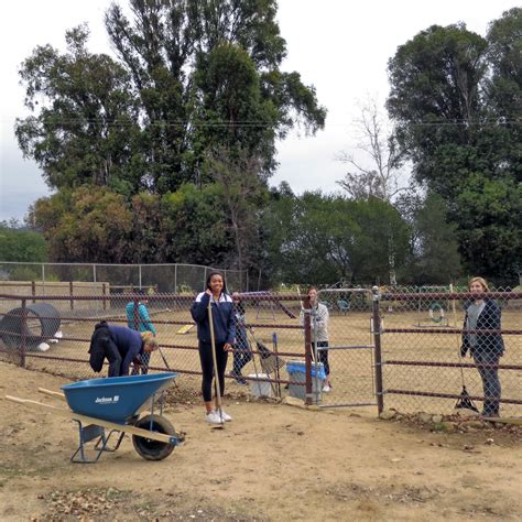 Thank You Students of Thacher School! - Humane Society of Ventura County