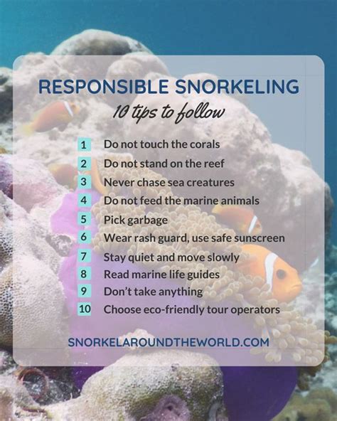 Responsible snorkeling tips - Coral reef etiquette | Snorkel Around The World | Snorkeling ...