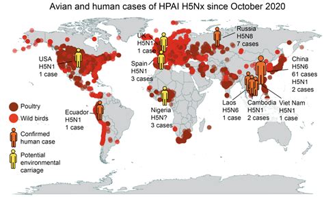 Bird flu, human cases and the risk to Australia | Pursuit by The ...