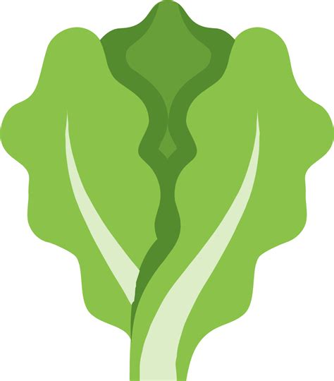 Lettuce Clipart Outline Lettuce Icon Png - Clip Art Library