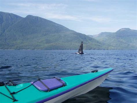 Telegraph Cove Sea Kayaking Rentals in Telegraph Cove, Vancouver Island ...