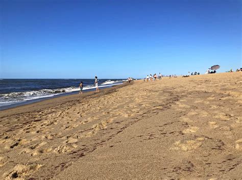 Race Point Beach | Cape Cod Star