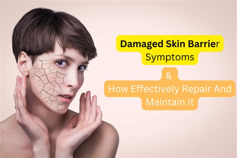 Damaged Skin Barrier Symptoms And How To Repair It