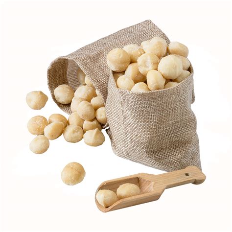 Bulk Raw Organic Macadamia Nuts | Nimbin Organic Macadamia Nuts