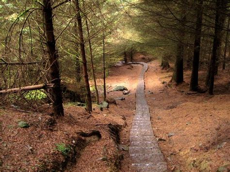 Hiking in Ireland: Wicklow Mountains National Park ...