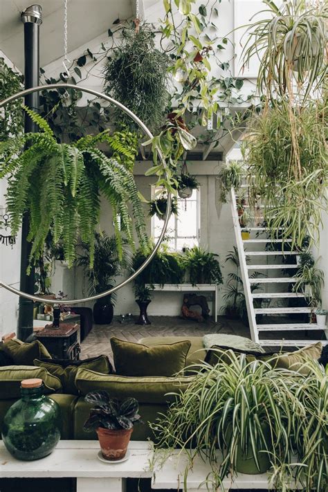 ALL GREEN cumpleaños, ideas para la casa, On top - Macarena Gea | Room with plants, Jungle house ...