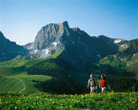 Bernese Oberland Traverse | Via Alpina | Alpine Pass Route