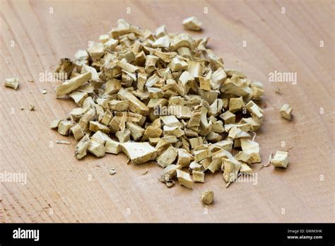 Marshmallow plant hi-res stock photography and images - Alamy