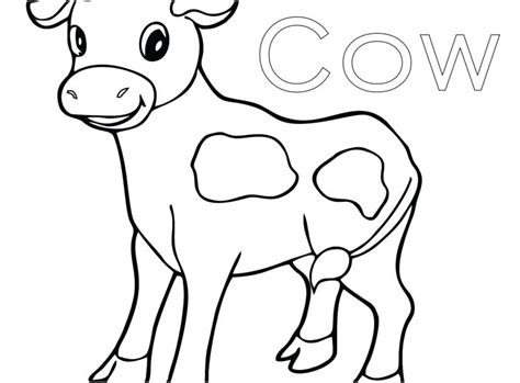 Realistic Cow Coloring Pages Coloring Pages