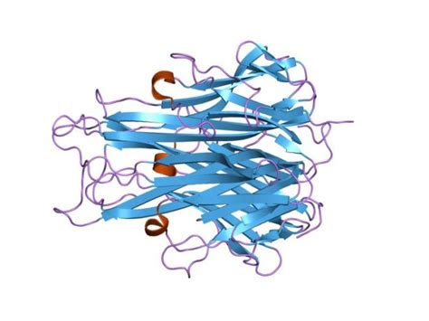 TNF Concentrations During TNF Inhibitor Treatment Predict Anti-drug Antibody Formation | Science ...