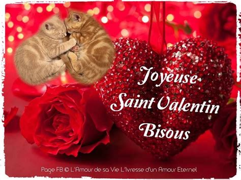 Joyeuse Saint Valentin, Bisous #saintvalentin chats coeur rose amour ...