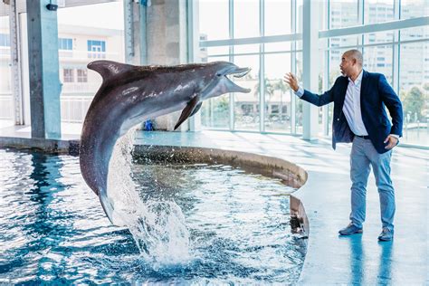 Atlanta’s Joe Handy to become CEO of the Clearwater Marine Aquarium | Flipboard