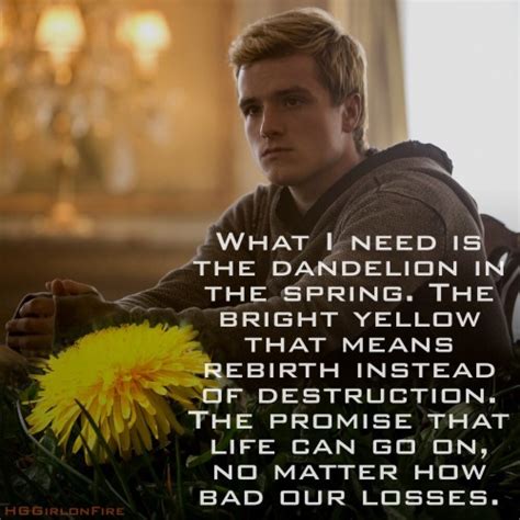 mockingjay quotes on Tumblr