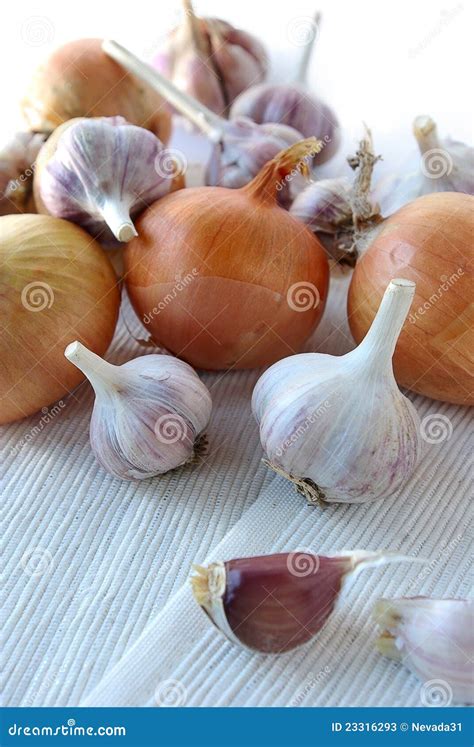 Garlic and onion stock image. Image of gourmet, cuisine - 23316293