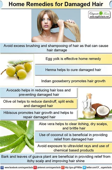 Is damaged hair giving you nightmares? Here are easy home remedies! | Home remedies for hair ...