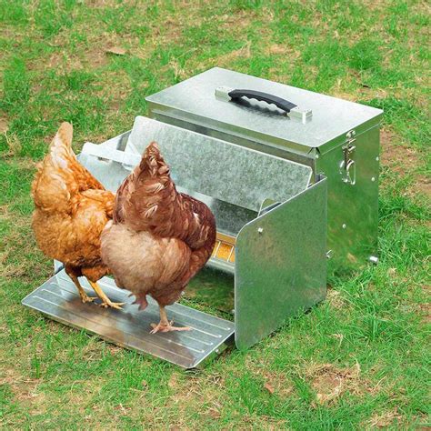 Standard Automatic Chicken Feeder Grandpas Feeders | ubicaciondepersonas.cdmx.gob.mx