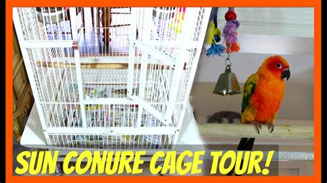 Sun Conure Cage Tour! *Mango's New Cage* - YouTube