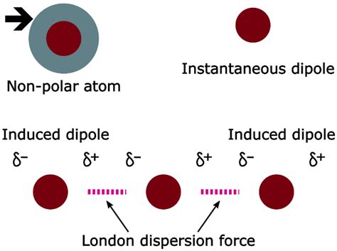 Dispersion Forces — Definition Overview Expii, 40% OFF