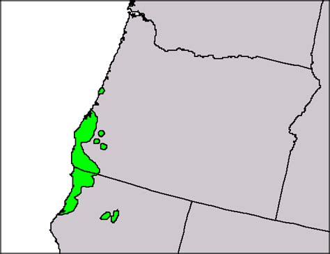 Oregon's Banana Belt: Blog #3 - Noticing the Meso and Micro effects