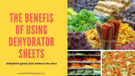 Dehydrator Sheets - A Cleaner Way to Dehydrate Sticky Foods