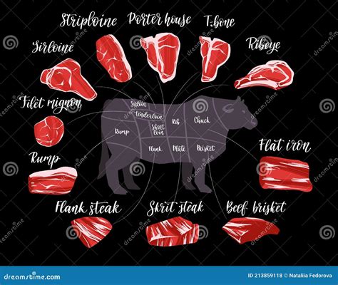 Steak Cuts Set. Beef Cuts Chart and Pieces of Beef, Used for Cooking ...