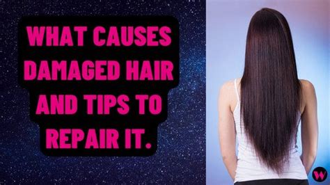 What Causes Damaged Hair And Tips To Repair It. | by Sami Amina | Medium