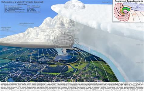 Supercell Schematic with Violent Tornado Near Trees and Lakes Including Tornadogenesis ...