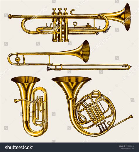 78,193 Brass Instruments Images, Stock Photos & Vectors | Shutterstock