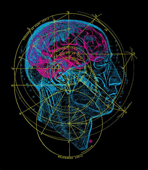 Anatomy Brain Painting by Gary Grayson