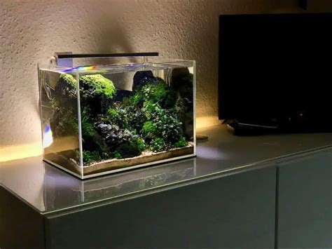 Best Nano Aquariums | Top 10 Pros & Cons (2020) – Fishkeeping Forever