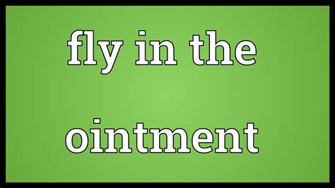 Fly in the ointment Meaning - YouTube