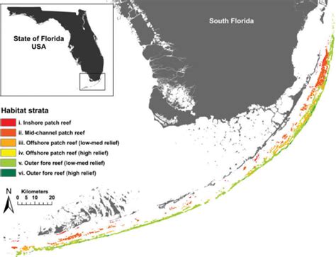 Map of the Florida Keys coral reef tract. Reef strata are described in ...