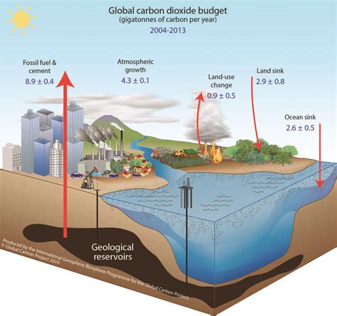 The Carbon Cycle: Fossil Fuels