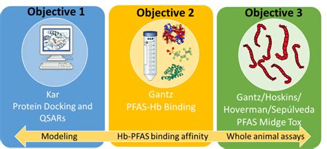 Modeling of PFAS – The Sepúlveda Lab