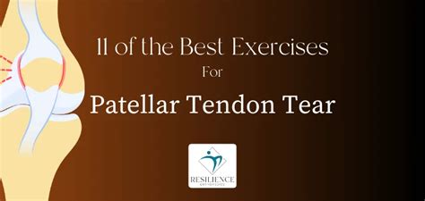 11 Best Patellar Tendon Tear Exercises, patellar tendon - plantecuador.com