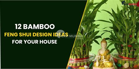 12 Bamboo Feng Shui Design Ideas For Your House