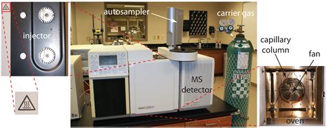 Column Gas Chromatography