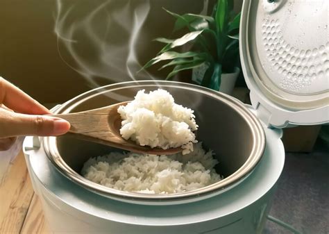 Top 10 Best Rice Cooker Brands of 2023