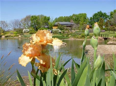 Dubbo Regional Botanic Garden – Australian Heritage Motor Inn Dubbo