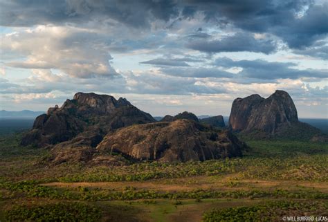 Niassa Reserve | Photos Pictures Images