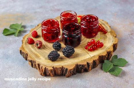 Muscadine Jelly Recipe