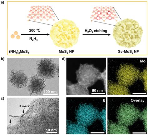 The synthesis and characterization of MoS2 NF. a) Schematic diagram of ...