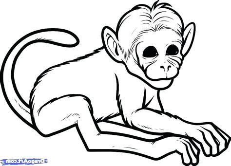 Monkey Outline Drawing | Free download on ClipArtMag