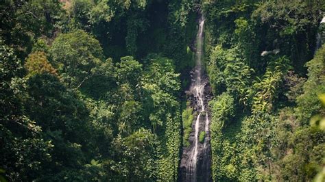 Premium Photo | Beautiful tropical waterfall bali indonesia