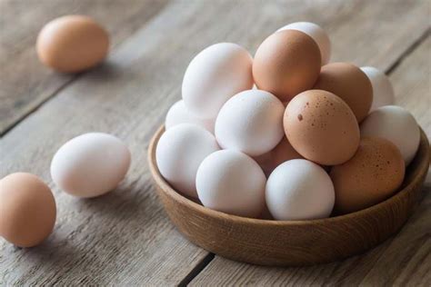 Coquille d'un œuf de poule : composition, fabrication et problèmes