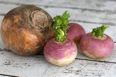 What's the Difference Between a Turnip and a Rutabaga?