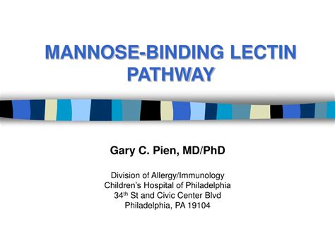 PPT - MANNOSE-BINDING LECTIN PATHWAY PowerPoint Presentation, free download - ID:320693