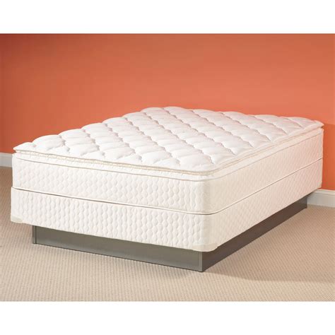 Sealy Low Queen Box Spring-Sears